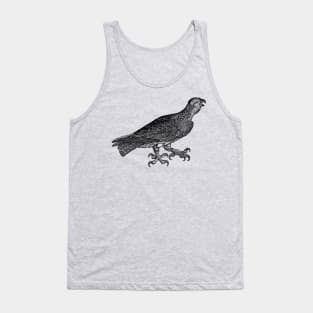 Vintage Eagle Retro hawk raptor illustration design Tank Top